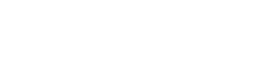 ToDesk编解码器示意图
