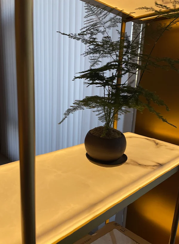 树脂板
