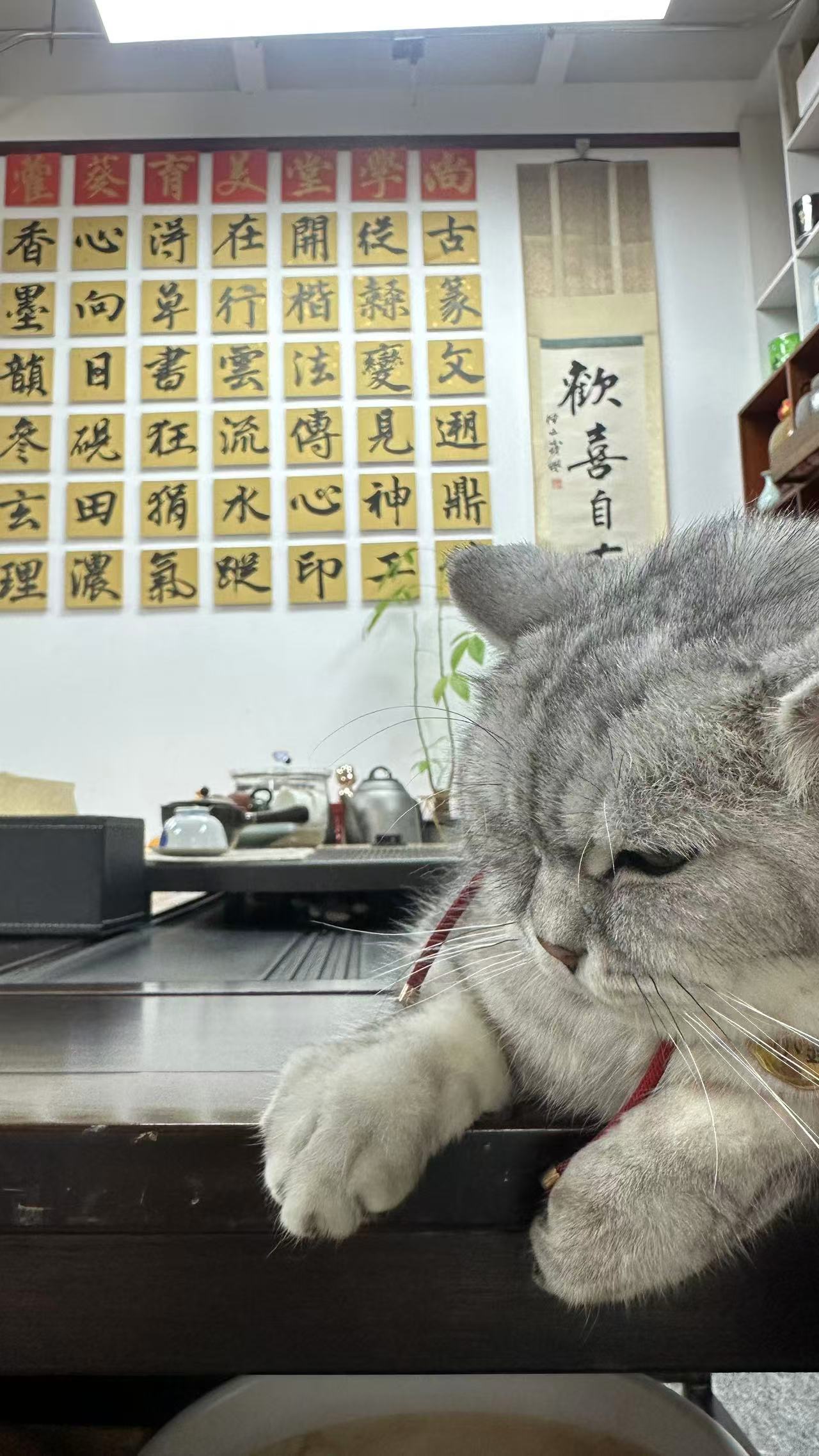教学环境12