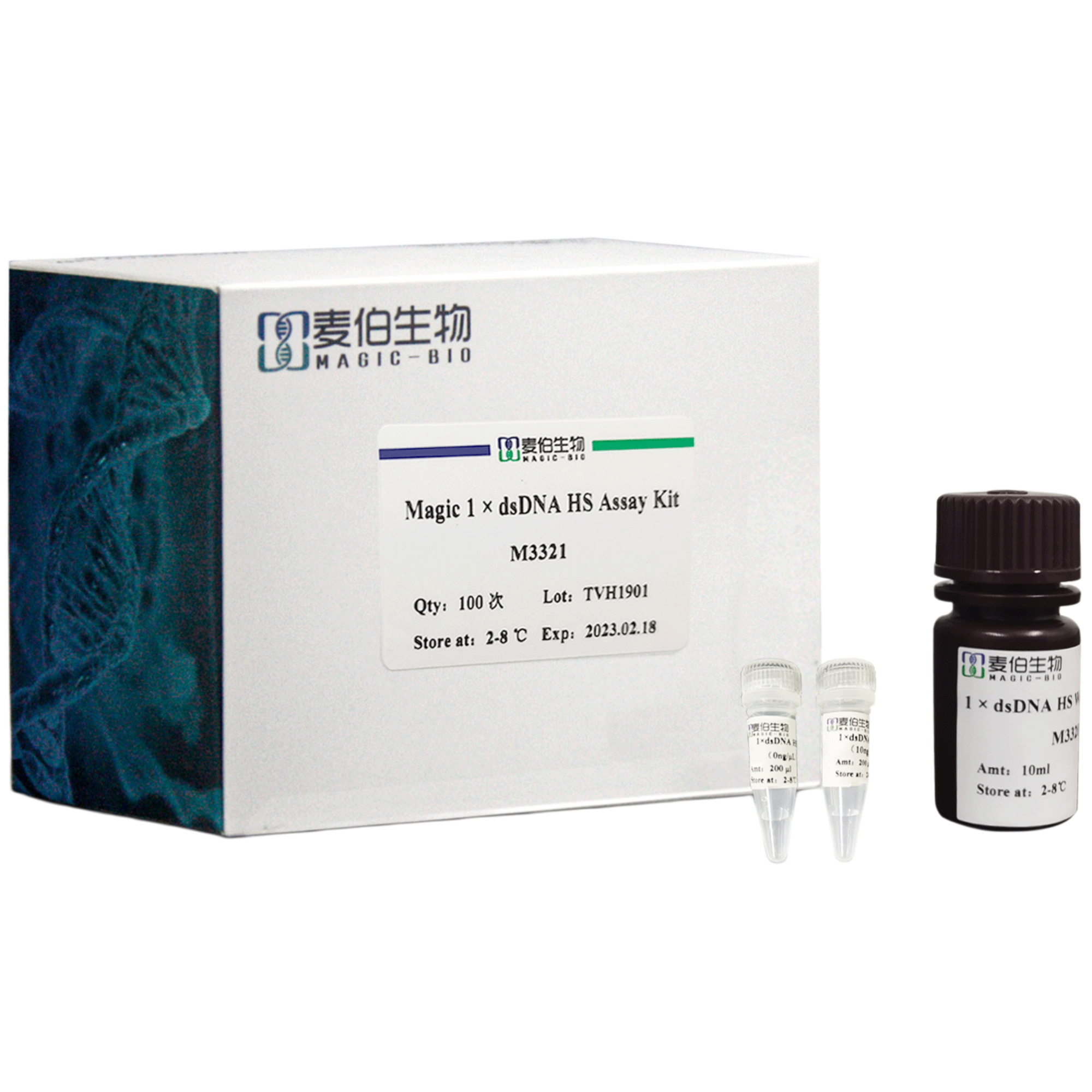 Magic 1× dsDNA HS Assay Kit