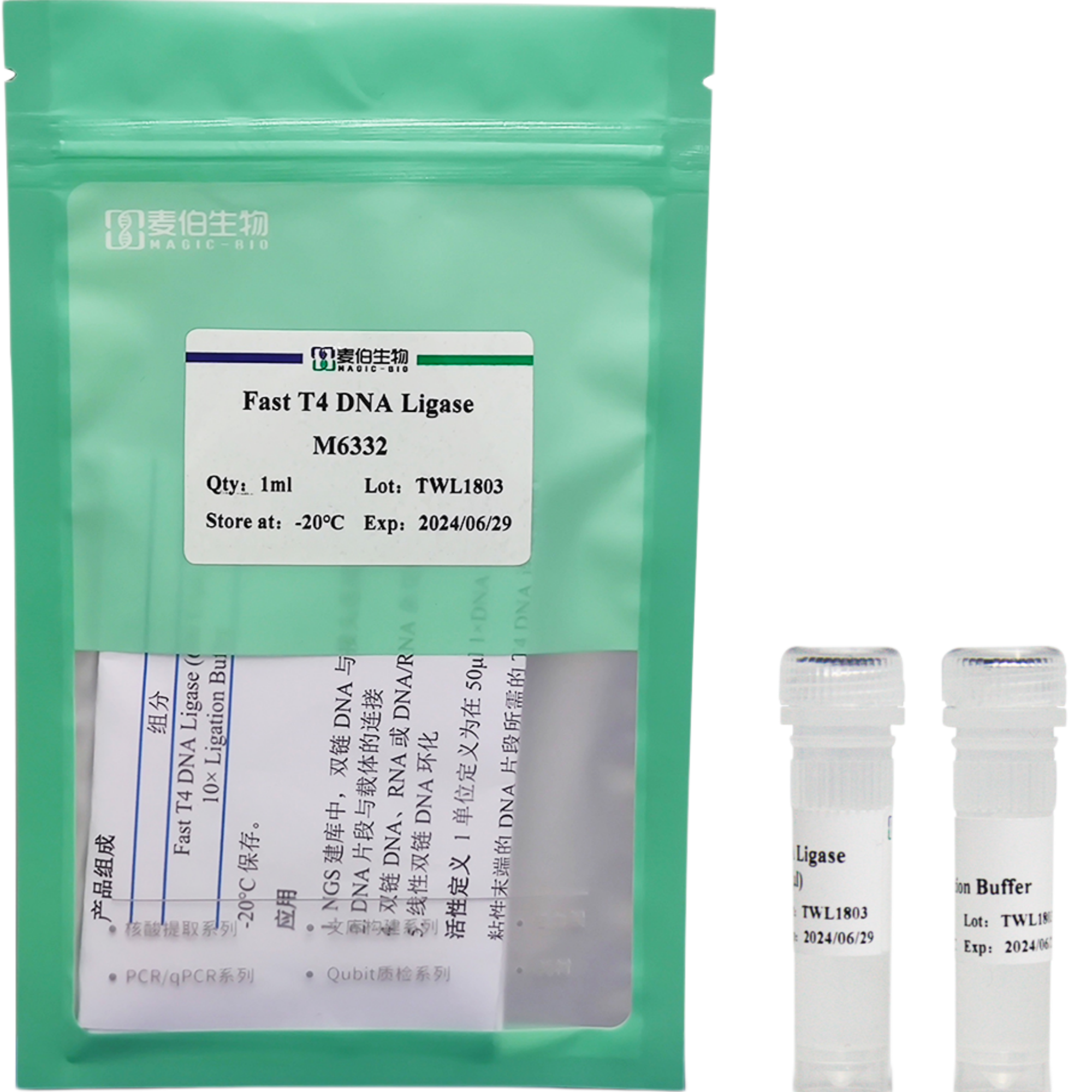 Fast T4 DNA Ligase