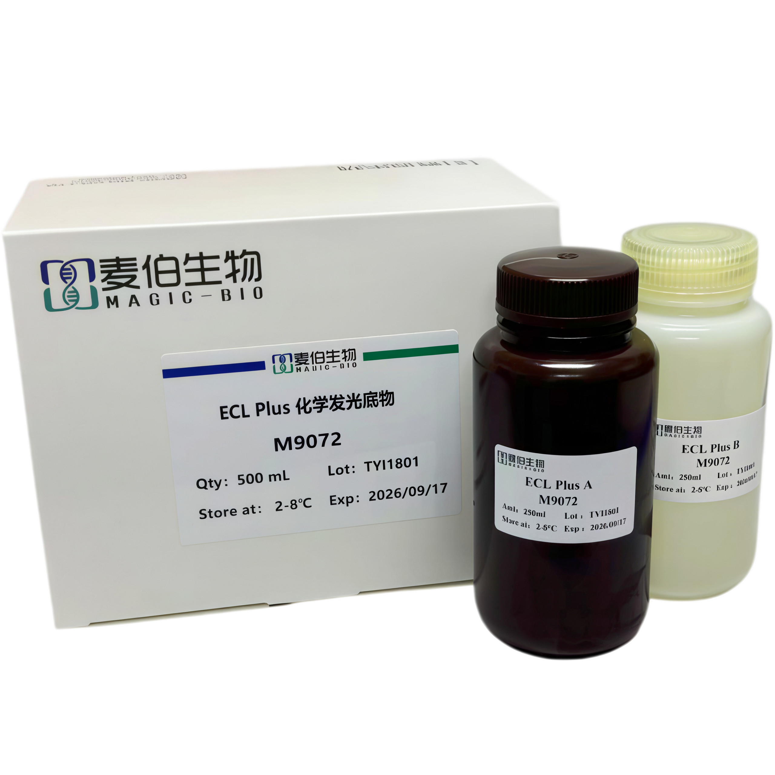 ECL Plus 化学发光底物