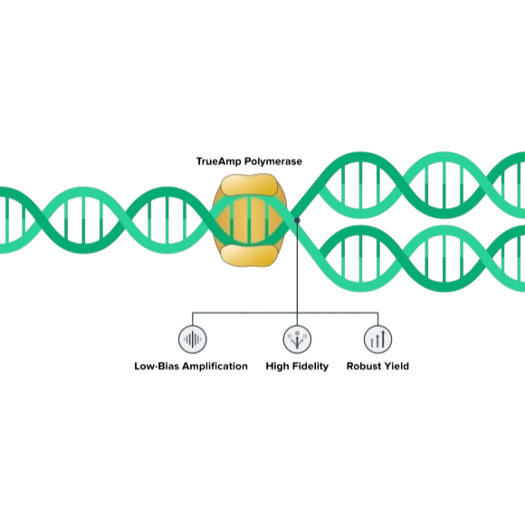 Twist TrueAmp Polymerase Mix