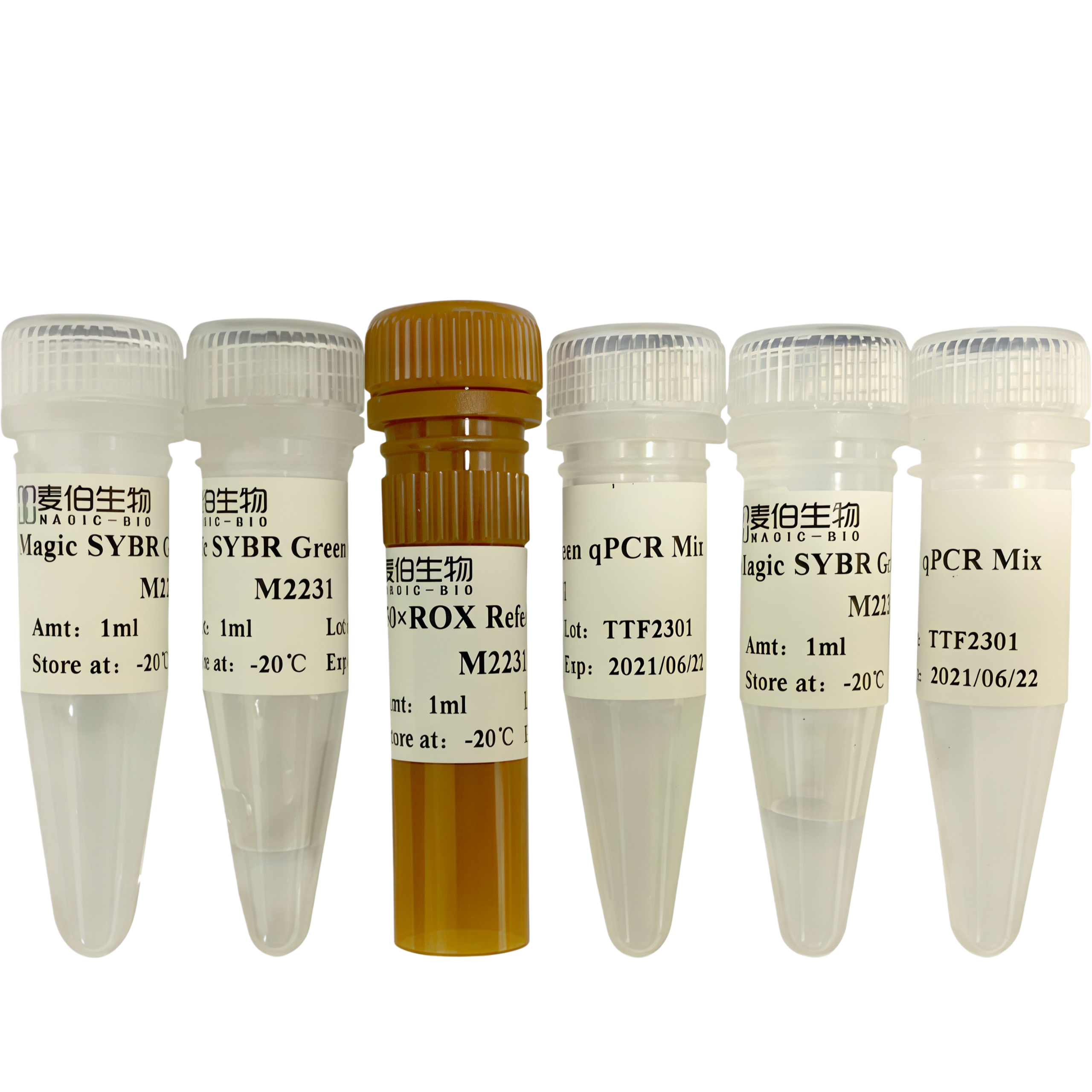 Magic SYBR Green qPCR Mix