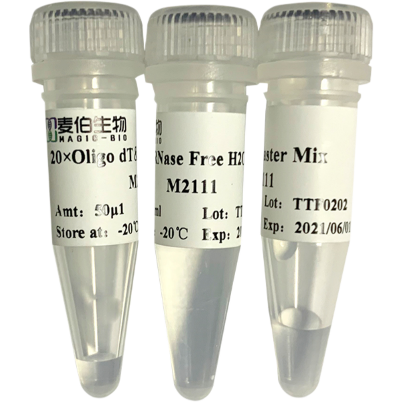 Magic 1st cDNA Stnthesis Kit(With dsDNase)试剂
